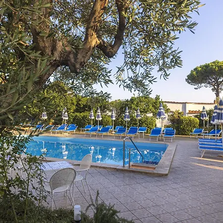 Terme Principe